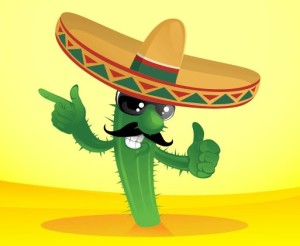 Cabo Gringo Pages Cactus Guy