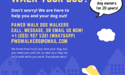 Pawer Walk Dog Walkers