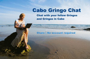 Cabo Gringo Chat Room